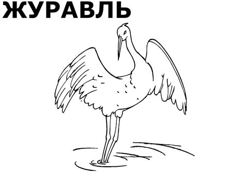 Раскраски Перелётных птиц распечатать или скачать бесплатно в формате PDF.