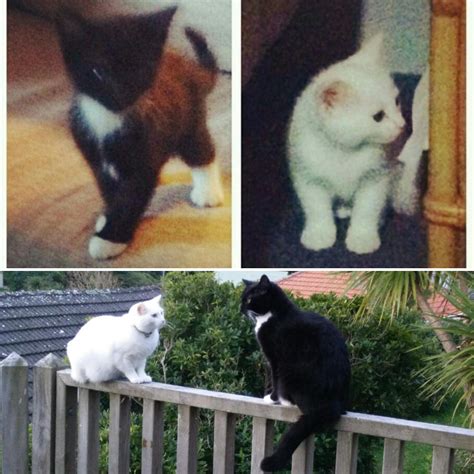 274 best Delphi images on Pholder | Travel, Dragalia Lost and