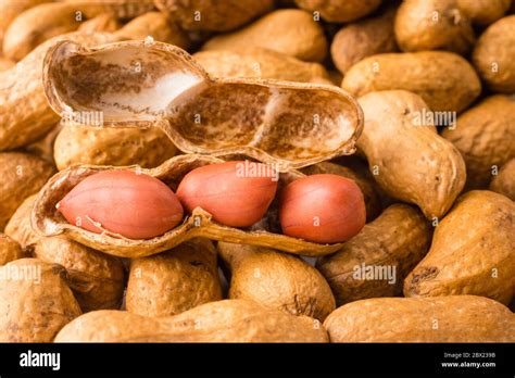 peanut shell opened  res stock photography  images alamy