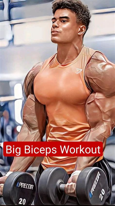 Big Biceps Workout | Biceps workout, Best gym workout, Big biceps workout