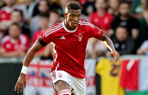 arsenal remain keen  signing danilo  forest