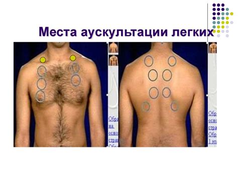 Аускультация легких. Лекция №2 - презентация онлайн