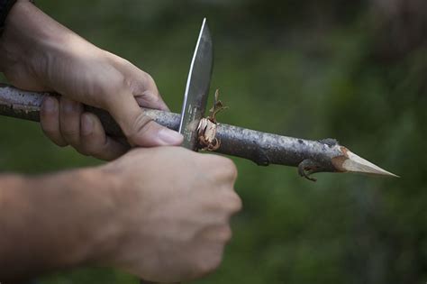 Нож туристический Morakniv Bushcraft Forest, арт. 12356 - купить в ...