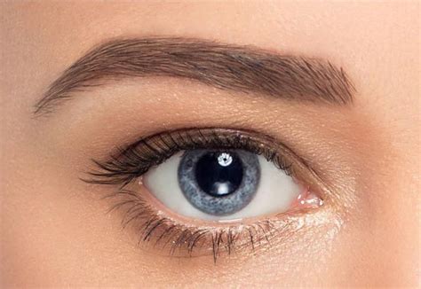 eye color guide   common eye colors eye color dark rings