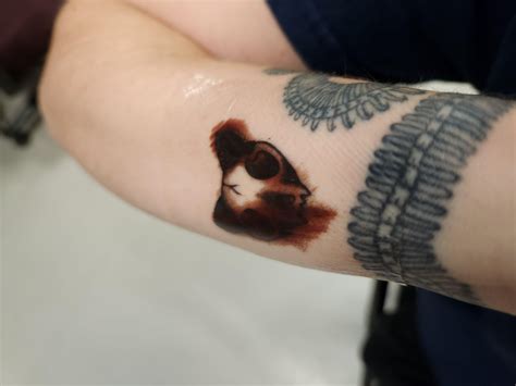 New skin tattoo bandage - Bronctattooaus.com