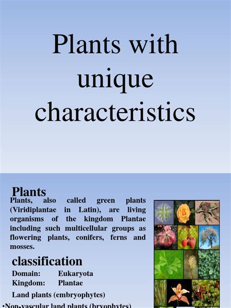 Plants With Unique Characteristics | Plants | Flowers