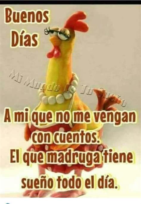 Buenos días, imagenes con humor | Fotos de Humor, Videos y Reels de risa