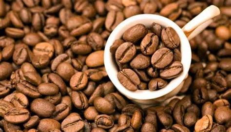 IL CAFFE’ GIAMAICA BLUE MOUNTAIN – fixcoffeeco.com