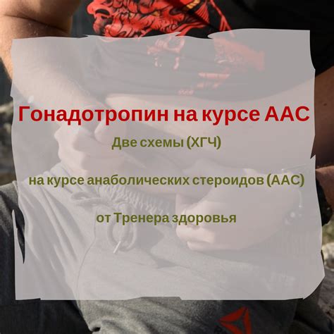 Гонадотропин хорионический после курса стероидов | Специалист по ...