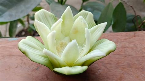 GARNISH CREATIF SANGAT SIMPEL/CARA MUDAH BUAT GARNISH - YouTube