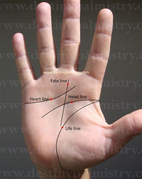 Easy Palm Reading Guide for Beginners - Destiny Palmistry