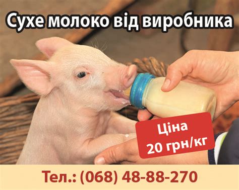 Купить СУХОЕ молоко заменитель цельного молока для телят поросят козлят ...
