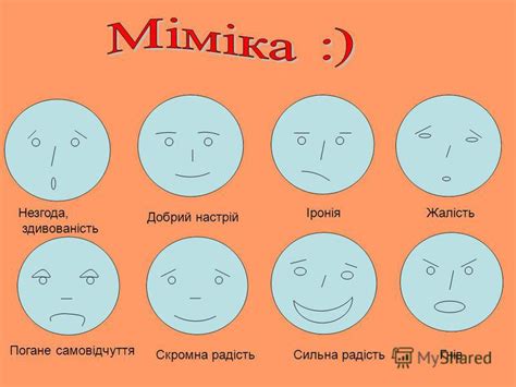 Презентация на тему: "Сильна радість Іронія Добрий настрій Незгода ...
