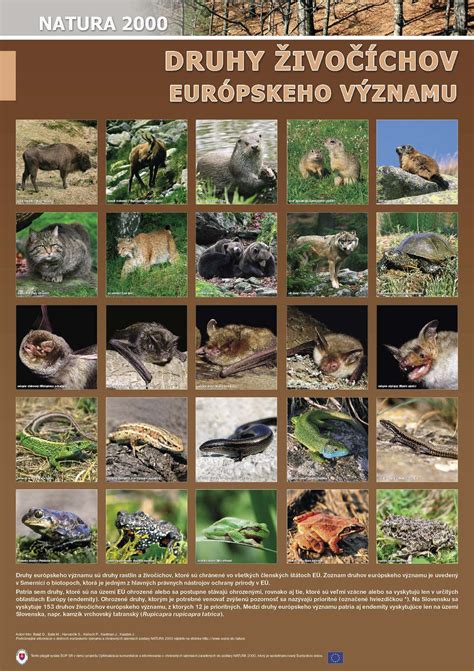 Natura 2000 - Sústava chránených území členských krajín EÚ