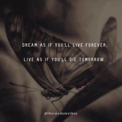 70 If I Die Tomorrow Quotes To Inspire You – The Random Vibez