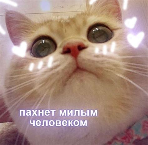 Сладкий флирт. Все Хитрости 2024 | ВКонтакте