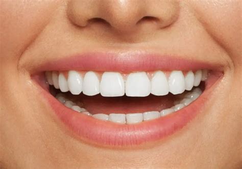 What is the Tooth? A Quick Guide to Understanding Your Pearly Whites