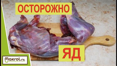 Польза и ВРЕД мясо кролика. Выбирать ВАМ! - YouTube