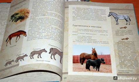 Книга: Удивительные кони. Истории, рисунки и фотографии - Борис Алмазов ...