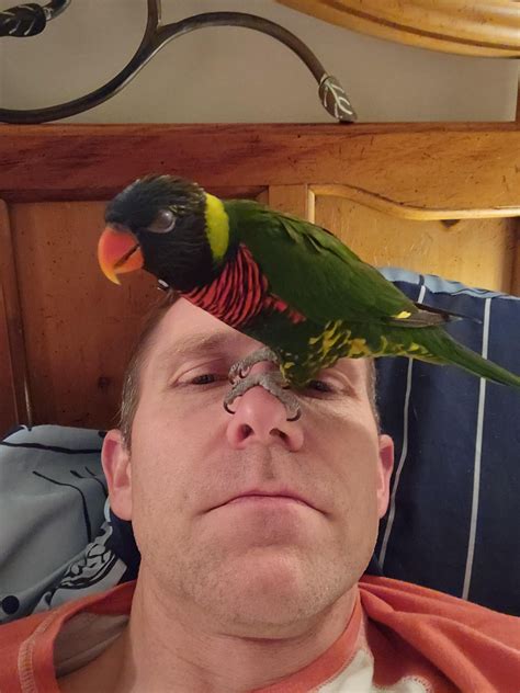 Nose perch : r/birbhostage