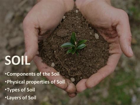Components, Physical Properties, Types, and Layers of Soil