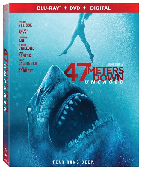 Amazon.com: 47 Meters Down: Uncaged (2019) : Nia Long, John Corbett