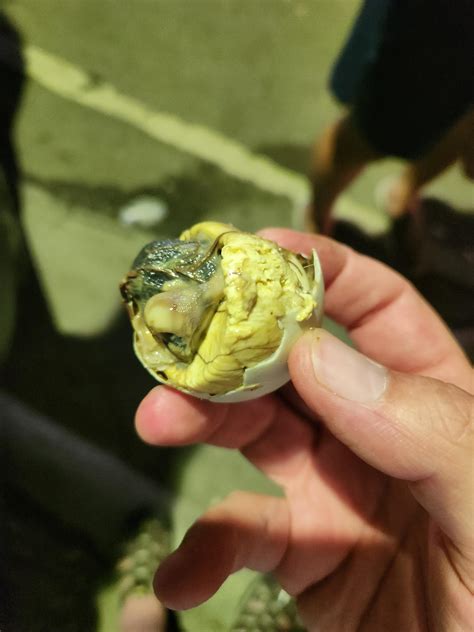 Why? Oh God, why? : r/Philippines