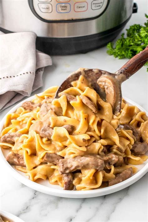 Best Easy Instant Pot Beef Stroganoff - Nourish Plate