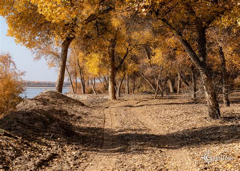 AyimTour Your Best Travel Guide in Karakalpakstan - Ночь в пустыне