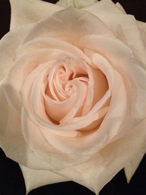 Pamela Yee, MD - Pamela Yee, MD added a new photo.