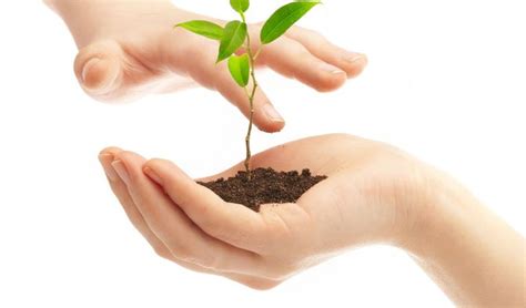 podcast      biz  grow theselfemployedcom