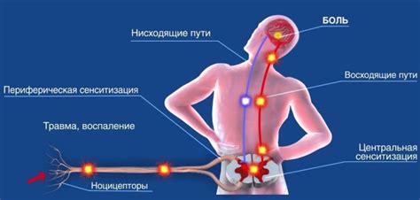 Нимесулид. Инструкция и показания по применению. Цена. Аналоги. Отзывы