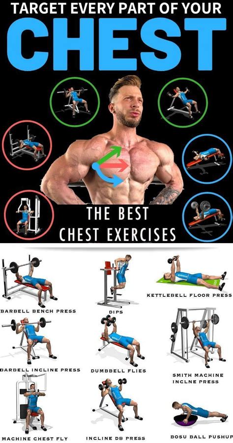 Pin by Lindsay Thaxton on workout motivation | Chest workouts, Chest ...