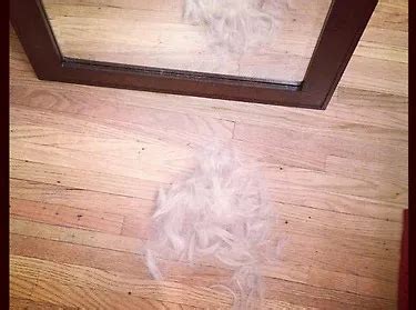 Photos : qui vient de se faire couper les cheveux ? - Public