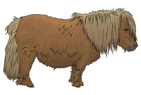 Shetland Pony - Free vector clipart images on creazilla.com