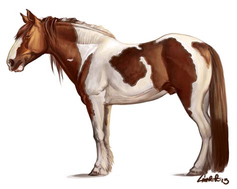 Tobiano Draft Horse Study by CharReed on DeviantArt