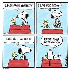 73 Wisdom of Snoopy ideas | snoopy, charlie brown and snoopy, peanuts gang
