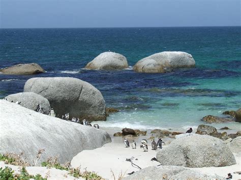 Boulders Beach - Cape Town - XciteFun.net
