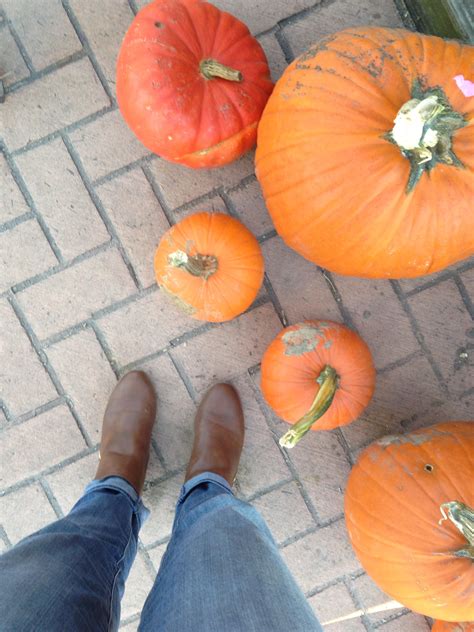 pumpkin – Lulu Runs