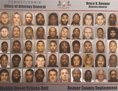 Mugshot Madness The Most Hilarious And Embarrassing Arrests In Mower