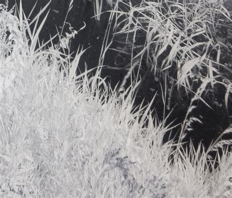 fuji  mm xc  mm  mm  ir photography david kennard