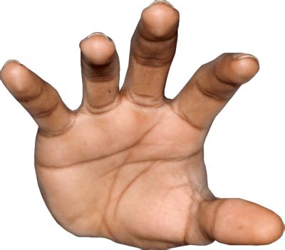 Grabbing Hand Front transparent PNG - StickPNG