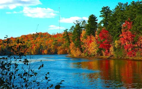 Cool Fall Backgrounds - Wallpaper Cave