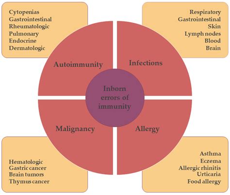 Elevated IgE Levels—An Allergy or an Underlying Inborn Error of