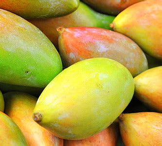 swadhika foods