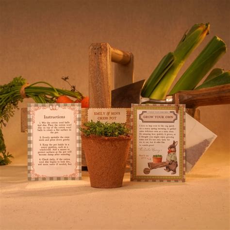 Grow Your Own Cress - Festive Studio