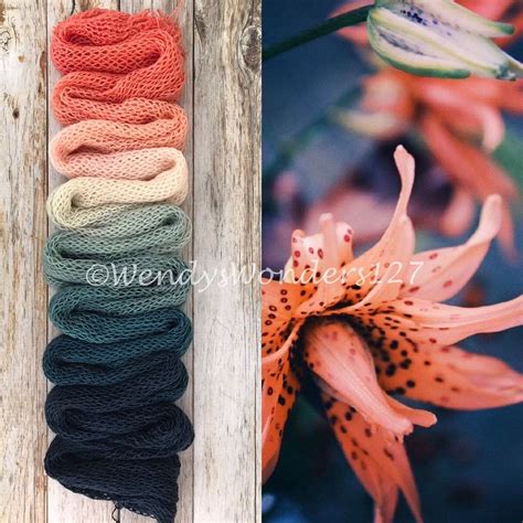 Gradient Dyed Yarn, Hand Dyed Yarn, Merino/silk, 800 Yards, Shawl ...