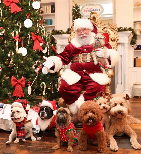 PetSmart | Evergreen Park IL