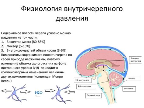 Основные принципы интенсивной терапии тяжелой черепно-мозговой травмы ...