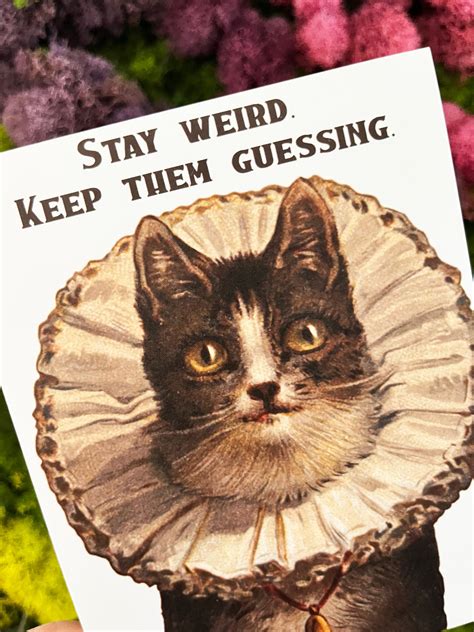 Congratulations Cat Meme